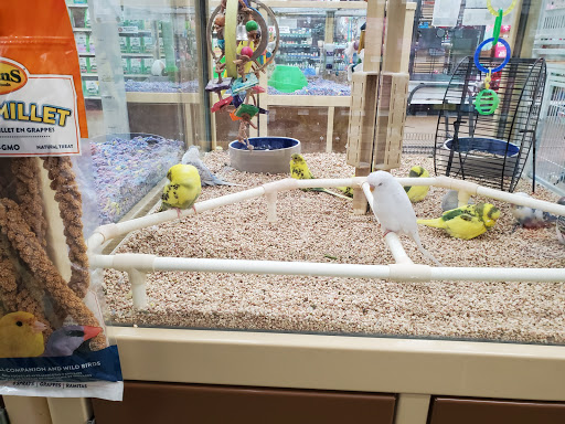 Pet Supply Store «Pet Supermarket», reviews and photos, 938 Semoran Blvd, Casselberry, FL 32707, USA