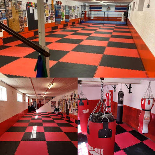 Reviews of Savage Fight Gym in Maidstone - Gym