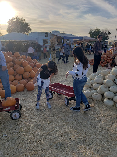 Fast Food Restaurant «Sonic Drive-In», reviews and photos, 3489 W Shaw Ave, Fresno, CA 93722, USA