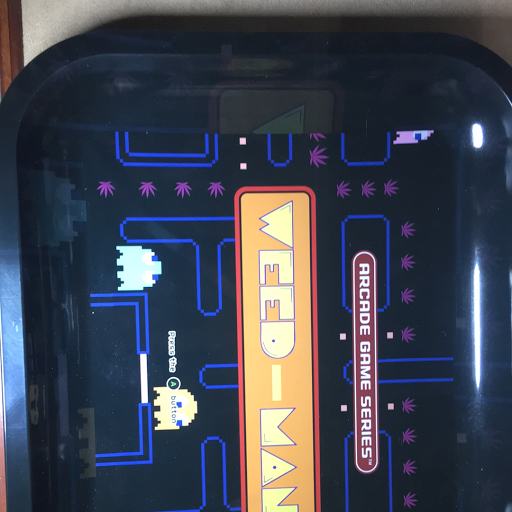 Explore forearm tattoos for women ideas, creative tattoo ideas in Peoria, available at Hot Spot Tattoo and Piercing