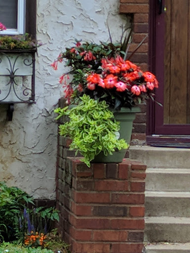 Cafe «Sovereign Grounds», reviews and photos, 813 E 48th St, Minneapolis, MN 55417, USA