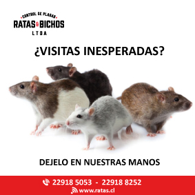 RATAS y BICHOS LTDA - Los Vilos