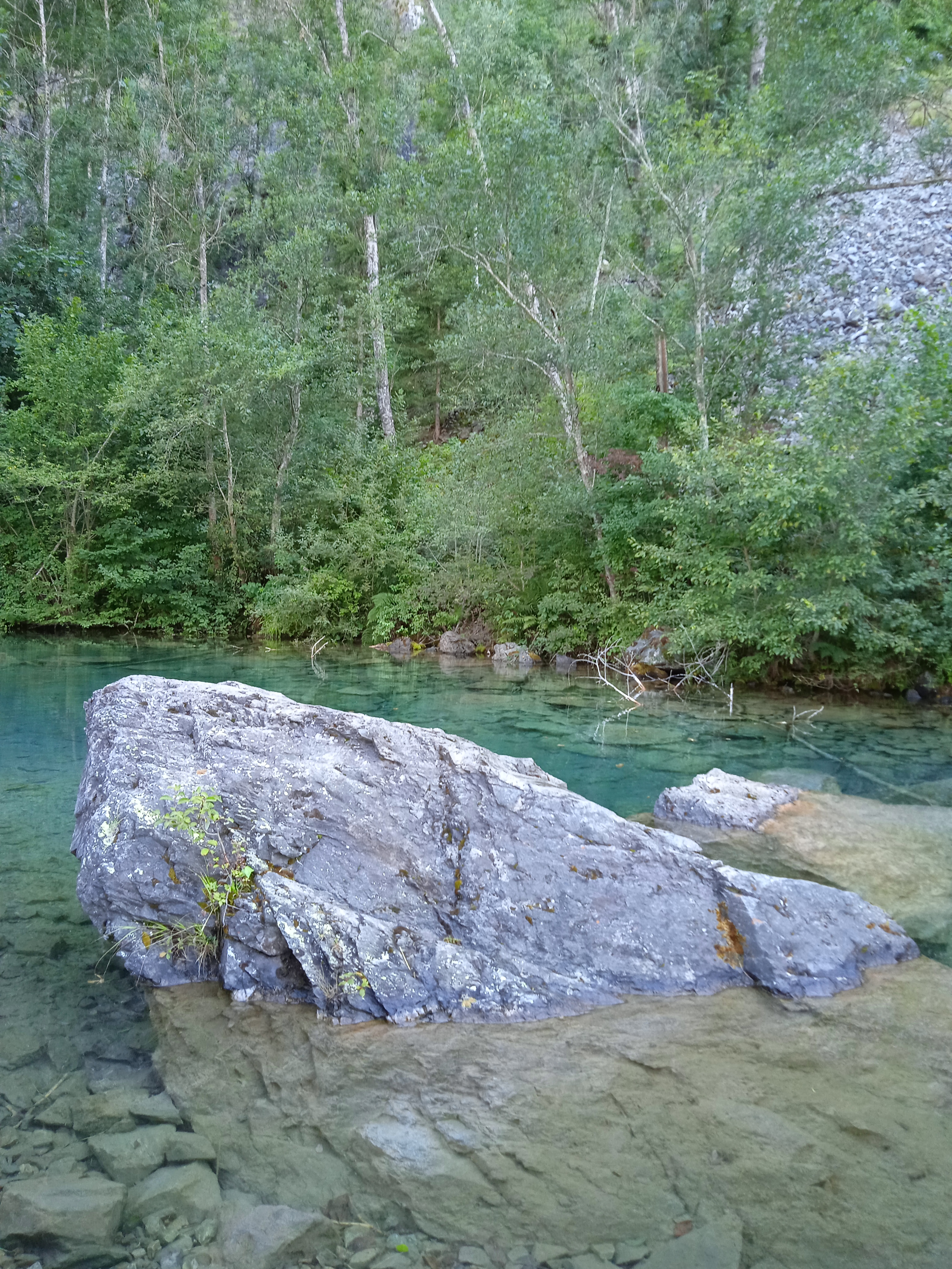 Photo n° 1 de l'avis de Mayane.a fait le 31/07/2023 à 16:28
