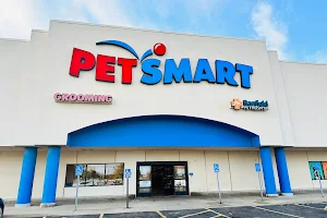 PetSmart image