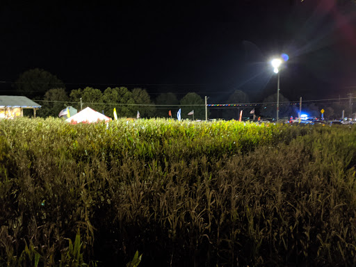 Farm «Buford Corn Maze.», reviews and photos, 4470 Bennett Rd, Buford, GA 30519, USA
