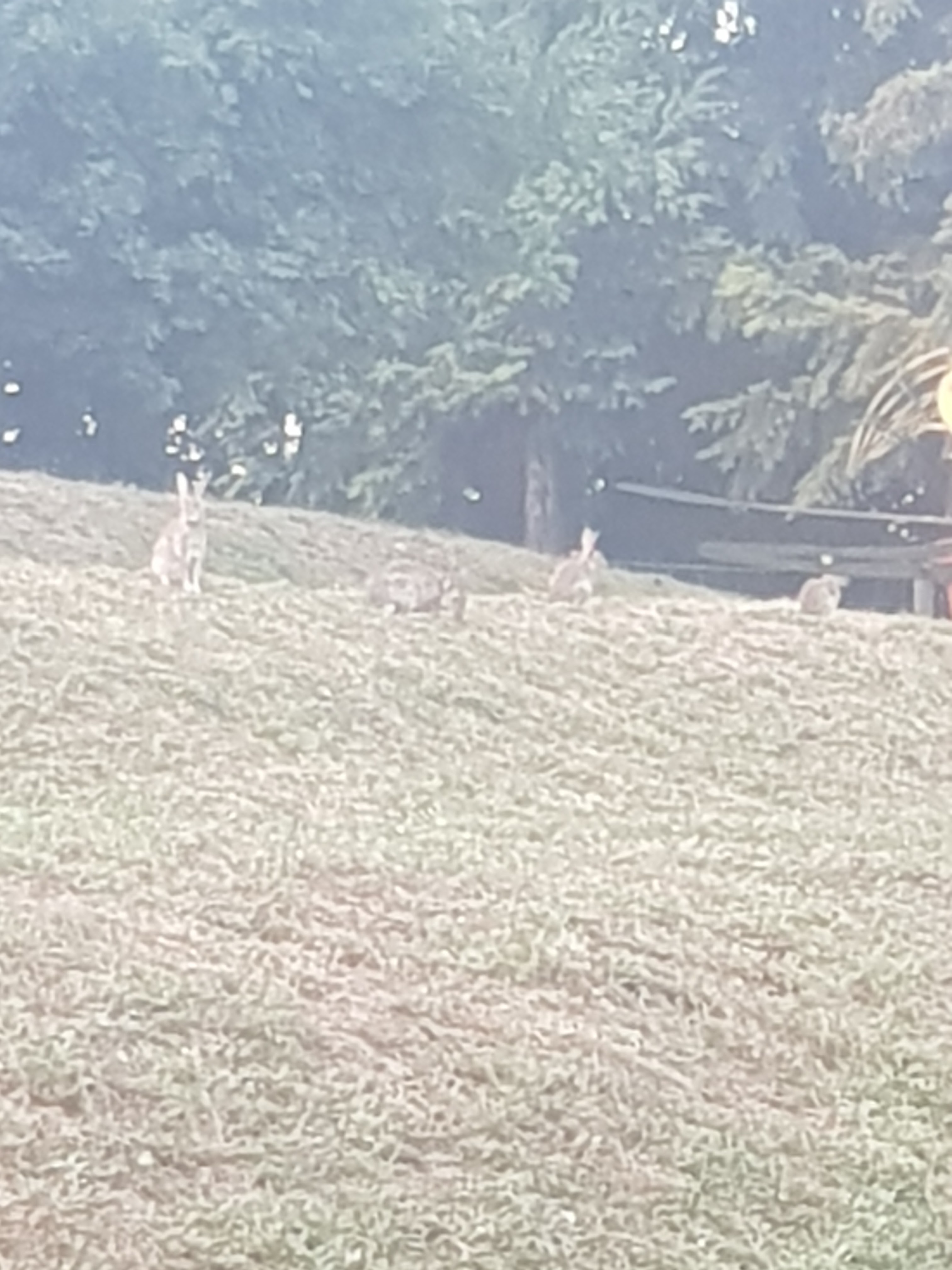 Photo n° 1 de l'avis de Samya.a fait le 10/08/2019 à 14:49