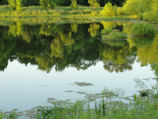 Golf Course «Harpeth Valley Golf Center», reviews and photos, 7629 Old Harding Pike, Nashville, TN 37221, USA