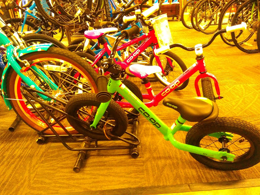 Camping Store «REI», reviews and photos, 1338 San Pablo Ave, Berkeley, CA 94702, USA