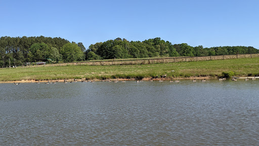 Tourist Attraction «Mitcham Farm», reviews and photos, 797 W Macedonia Church Rd, Oxford, GA 30054, USA