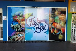 Fish in a Box Aquarios image