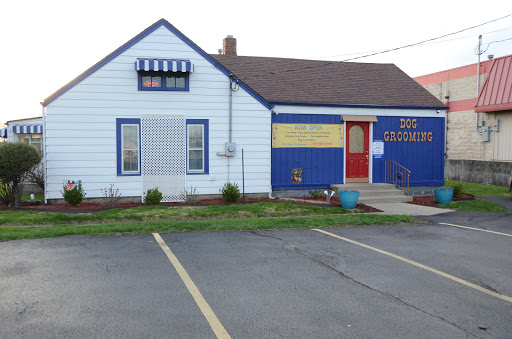 Pet Groomer «Blue Ribbon Dog Grooming LLC Anderson», reviews and photos, 5038 S Scatterfield Rd, Anderson, IN 46013, USA