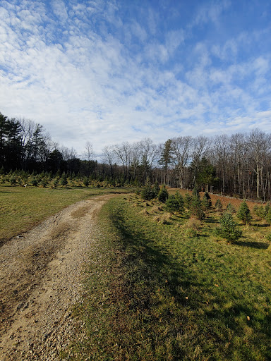 Outdoor Sports Store «Maple Hill Disc Golf», reviews and photos, 132 Marshall St, Leicester, MA 01524, USA