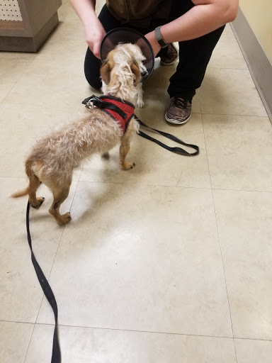 Pet Supply Store «Petco Animal Supplies», reviews and photos, 1150 Concord Ave #160, Concord, CA 94520, USA