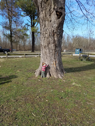 Park «Maryland City Park», reviews and photos, 565 Brock Bridge Rd, Laurel, MD 20724, USA