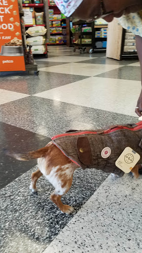 Pet Supply Store «Petco Animal Supplies», reviews and photos, 2204 Harlem Ave, North Riverside, IL 60546, USA