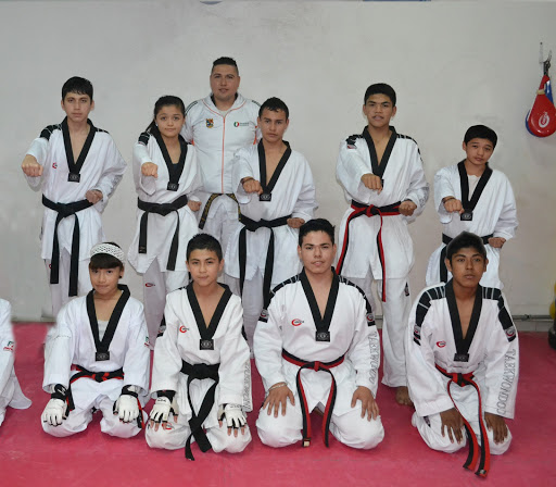 Dragones Taekwondo Reynosa (OFICIAL)