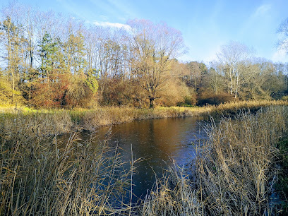 Naturschutzgebiet Zylinderteich/Cilina