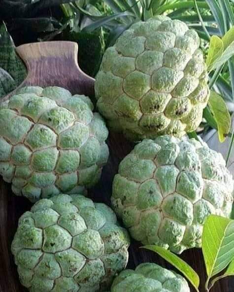 Sapouy, Burkina Faso