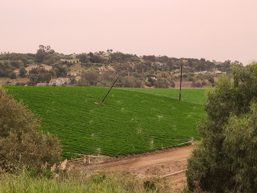 Golf Club «Sterling Hills Golf Club», reviews and photos, 901 Sterling Hills Dr, Camarillo, CA 93010, USA