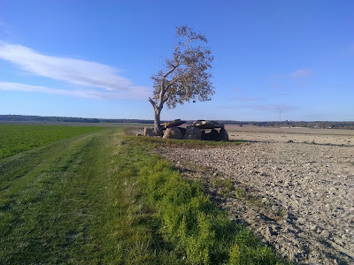 Touraine Pascal à Les Trois-Moutiers