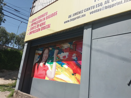 Servicio de rotulación de vehículos Cuautitlán Izcalli