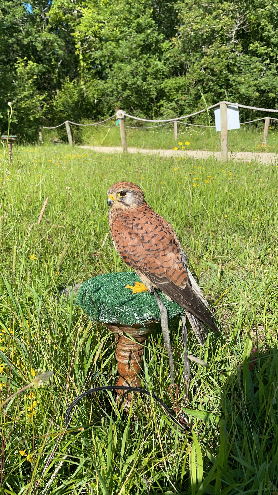 Photo n° 7 de l'avis de Celia.e fait le 23/08/2022 à 19:00