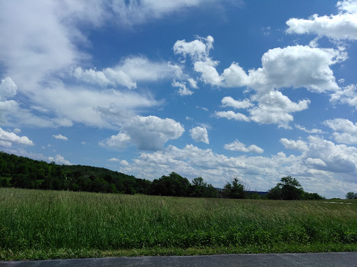 Gun Shop «Davis Shooting Sports», reviews and photos, 1230 Pulaski Hwy, Goshen, NY 10924, USA