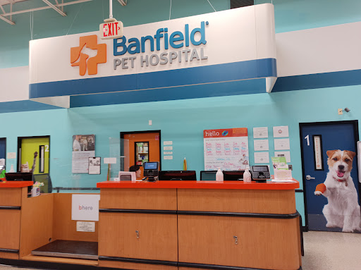 Pet Supply Store «PetSmart», reviews and photos, 21032 S Ellsworth Loop, Queen Creek, AZ 85142, USA