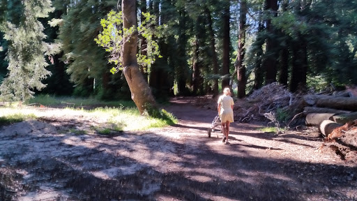 Golf Course «Mill Valley Golf Course», reviews and photos, 280 Buena Vista Ave, Mill Valley, CA 94941, USA