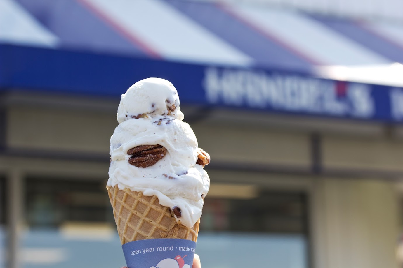 Handel's Homemade Ice Cream- Tempe Marketplace