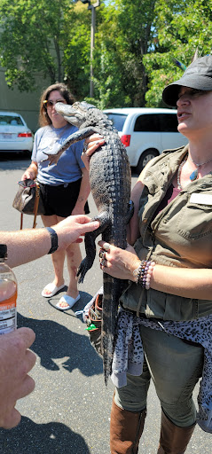 Pet Supply Store «Pet Club Santa Rosa», reviews and photos, 1935 Santa Rosa Ave, Santa Rosa, CA 95407, USA