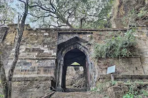 Bandhavgarh Fort image