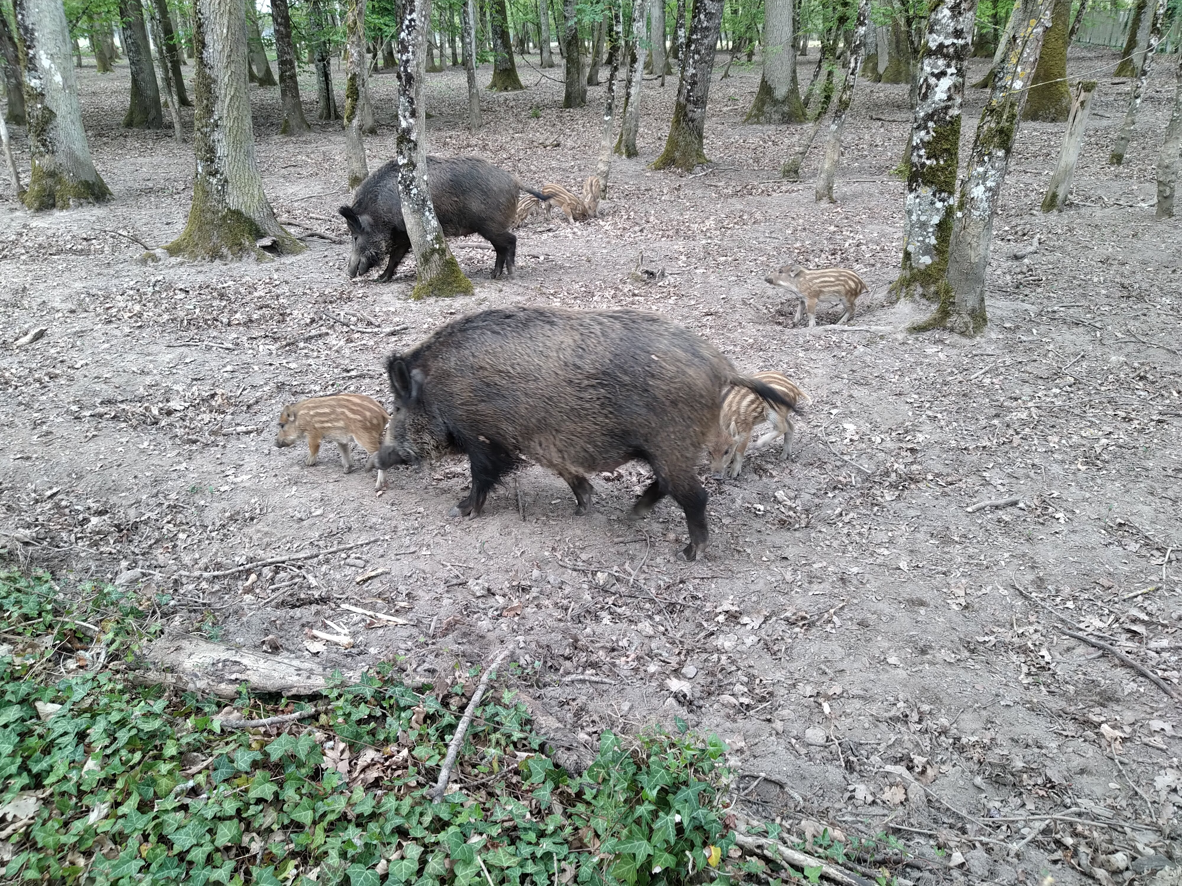 Photo n° 1 de l'avis de ATY.� fait le 22/04/2019 à 11:25