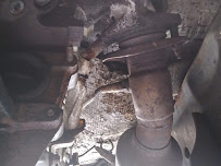 Revennaugh's Service Center - Photo 8 - Car repair in Brooksville, FL, Spring Hill