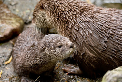 Oregon Zoo