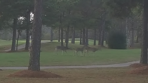 Golf Course «Beacon Lakes Golf Club - OPEN to the PUBLIC», reviews and photos, 801 FM646, Dickinson, TX 77539, USA