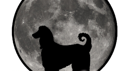 Destellos Peluqueria Canina - Servicios para mascota en Alhaurín de la Torre