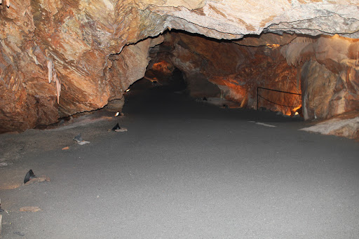 Tourist Attraction «Shenandoah Caverns», reviews and photos, 261 Caverns Rd, Quicksburg, VA 22847, USA