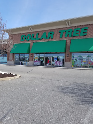 Dollar Store «Dollar Tree», reviews and photos, 18065 Garland Groh Blvd, Hagerstown, MD 21740, USA