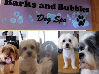Barks and Bubbles pet salon