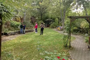 Olden Community Garden image