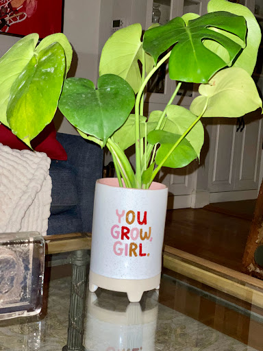 Florist «Bloomtastic Florist», reviews and photos, 2136 Arlington Ave, Columbus, OH 43221, USA