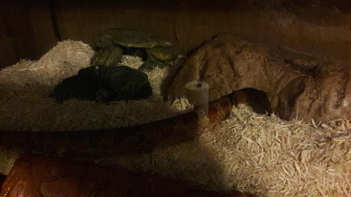 Pet Supply Store «Coastline Pet Supply», reviews and photos, 3530 Northgate Dr, Myrtle Beach, SC 29588, USA