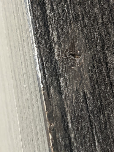 Cabinet Store «Closets By Design - Boston», reviews and photos, 2 Shaker Rd C110, Shirley, MA 01464, USA