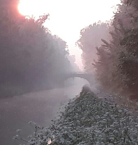 Photo n° 4 de l'avis de Laurent.a fait le 18/05/2018 à 15:25
