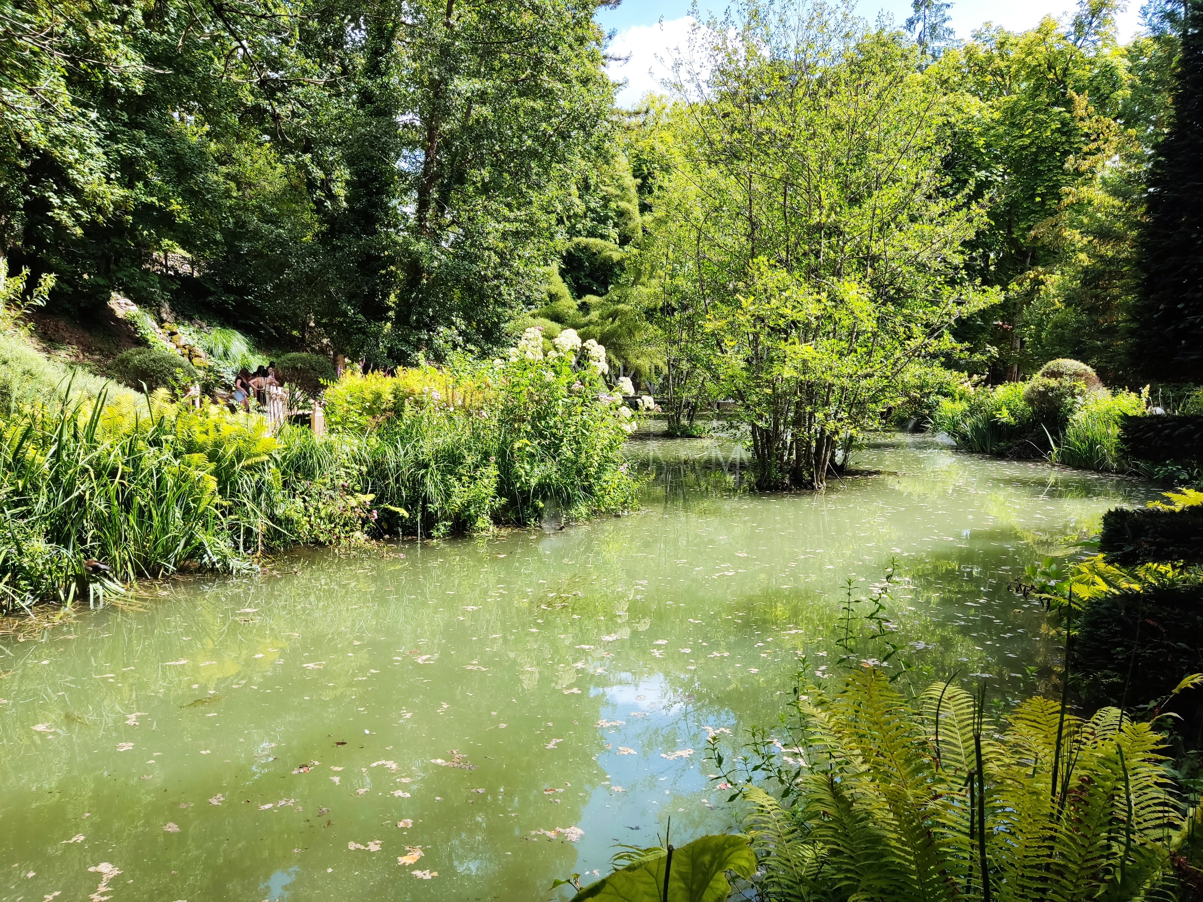 Photo n° 17 de l'avis de Damoc.r fait le 12/08/2023 à 23:29