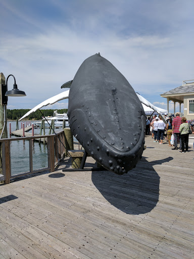 Sightseeing Tour Agency «Lulu Lobster Boat Ride», reviews and photos, 55 West St, Bar Harbor, ME 04609, USA