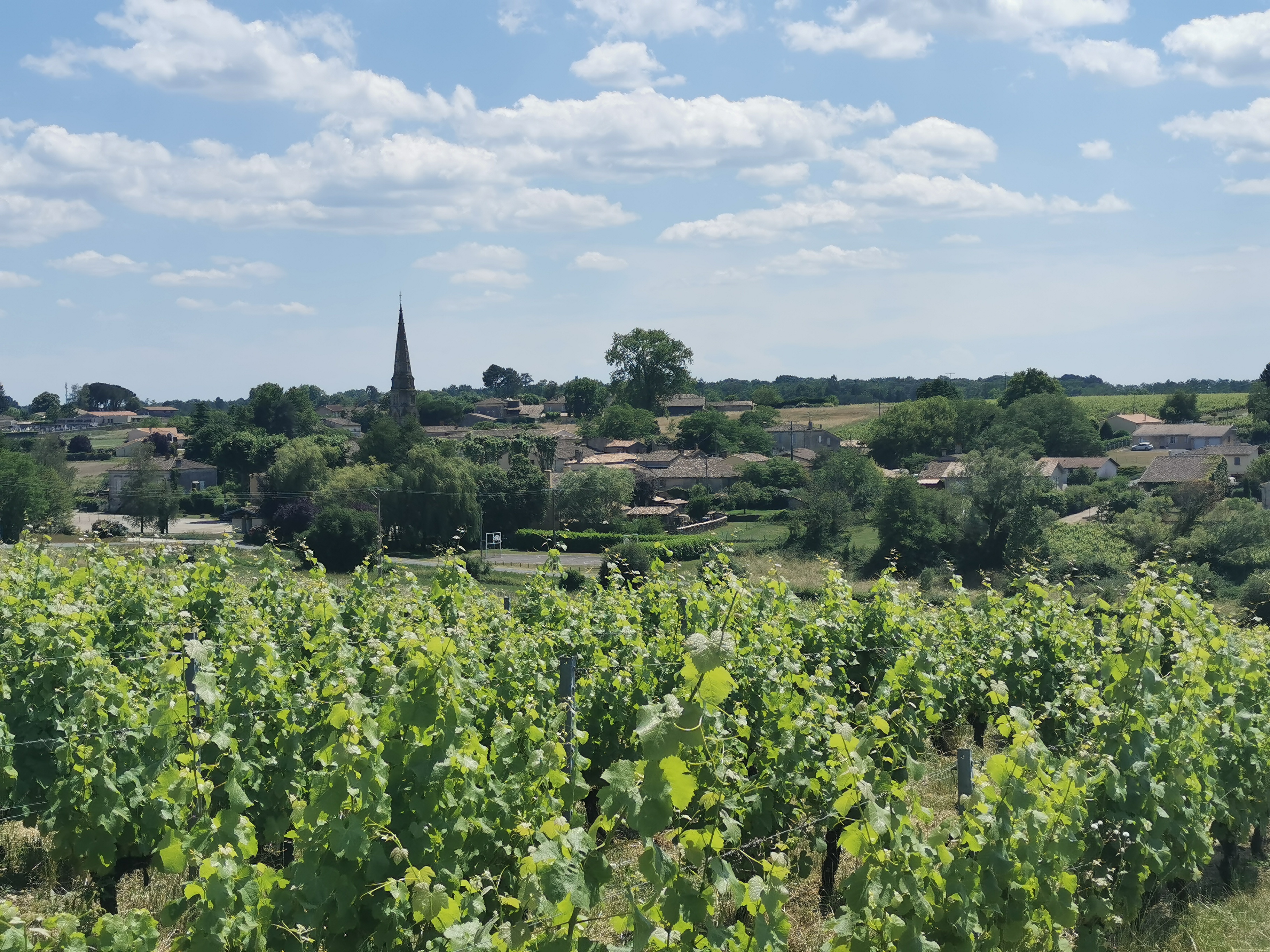 Photo n° 5 de l'avis de Timothé.i fait le 31/05/2020 à 17:46