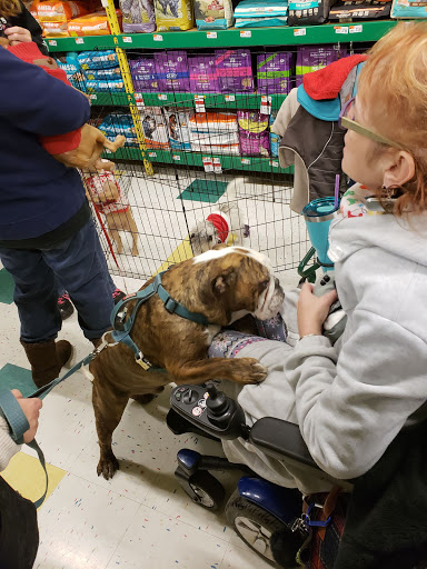 Pet Supply Store «Pet Supplies Plus», reviews and photos, 3120 NJ-35, Hazlet, NJ 07730, USA