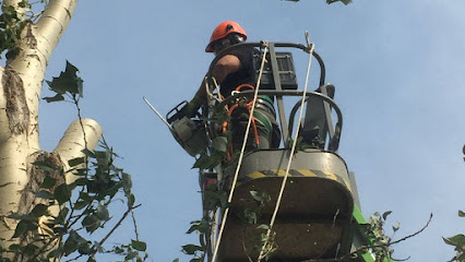 J.R.'s Tree Removal & Pruning